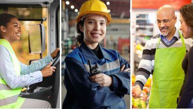 kollage branscher webb 1