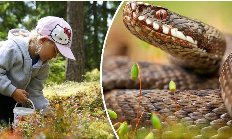 small f2c172ce a5c2 4151 a291 81493dcd3f5f 1000 468 0 66 1000 534 1 9db99d57b5