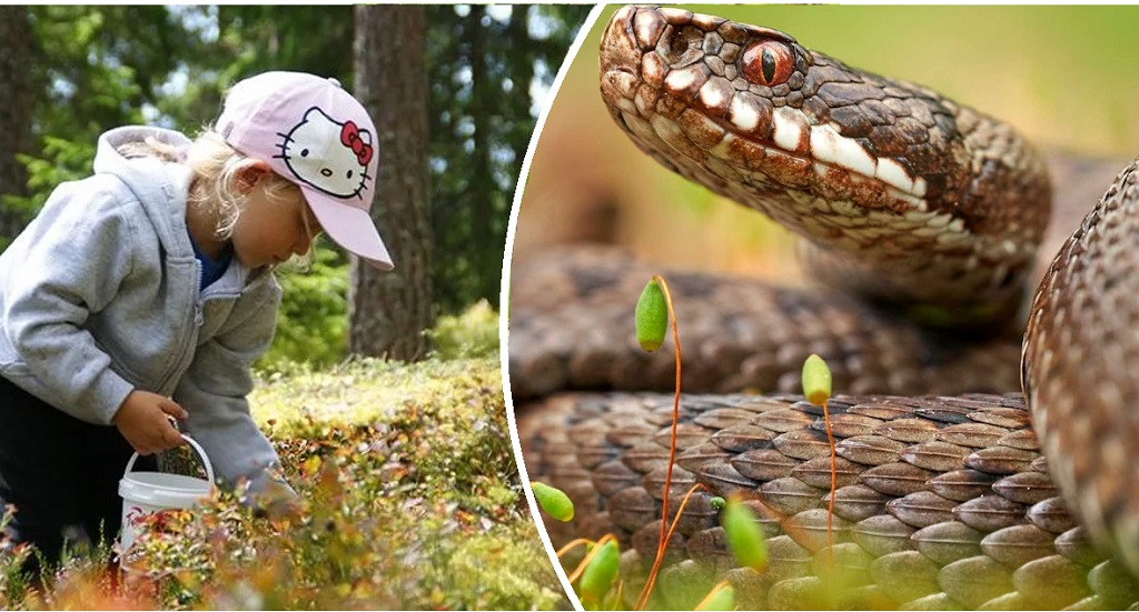 small f2c172ce a5c2 4151 a291 81493dcd3f5f 1000 468 0 66 1000 534 1 9db99d57b5