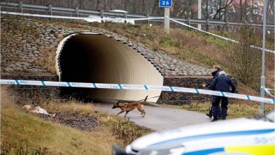 0ekofaXF3FRr2h2G0GeQZiepNxog REGULAR 1