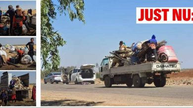 1000059960 1752766739 1