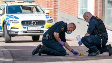 25Fi2AN95PSWil33gVeUrB3FCbTQ REGULAR 2