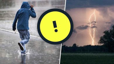 4e7ae59c 1d2b 4850 883d d0bac4a7adc0 1