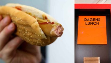 502450219 707484315203634 8466737142958395321 n 1