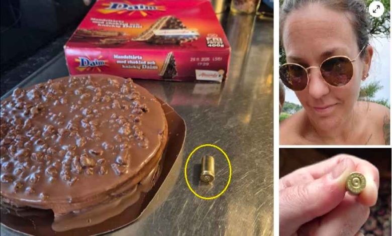 515673925 1154449563391023 254359336218260416 n 1