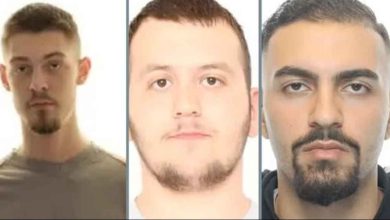 518326732 734310082541956 7471398033227280114 n 1