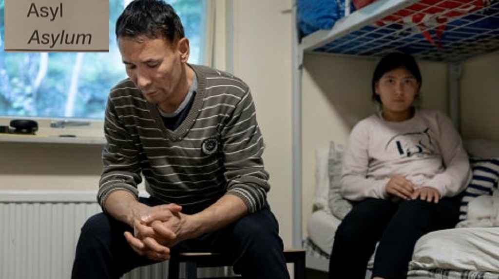 5274af4e a00a 4464 aa24 7e33b05f16d8 1