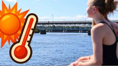 58337d8f 7d7d 4483 8f50 33d06734e825 1