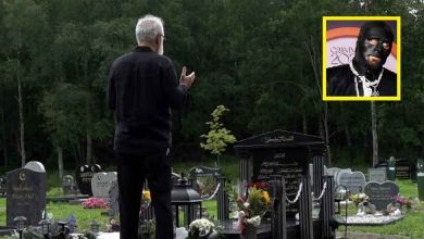 58337d8f 7d7d 4483 8f50 33d06734e825 1