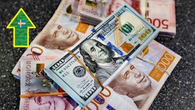 671e9895 7bf1 5f07 a24d 62dfe852e687 1