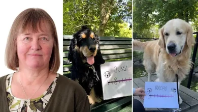 820f79e7 3de1 4cf9 9aa0 dc1089bc66f0 2