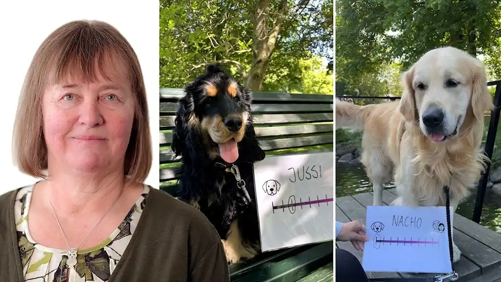 820f79e7 3de1 4cf9 9aa0 dc1089bc66f0 2