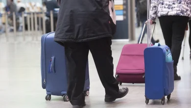 91ad49b9 b0f6 4012 b97f 6982082a3c66