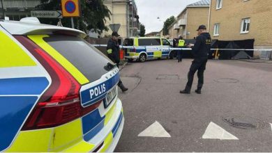 92456292 2647716752216336 4717194084781916160 n 1