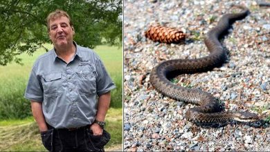 9bfdf548 78f0 4161 ad2e f2bd8caacba7 1