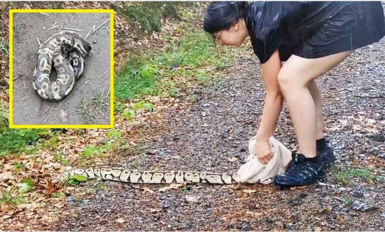 Regeringen och SD Foto Ninni Andersson Regeringskansliet 1148x478 1