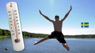 a7940fed f246 412b a53f a8c9e005f685 1