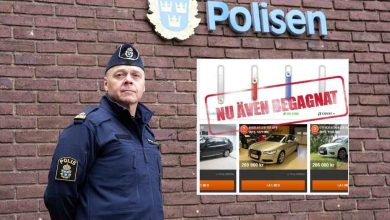 aaa3eb87 a131 4fc6 94ee 34e85e67f428