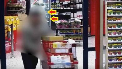 alkompis DQzf TXYkO.jpg 1 1