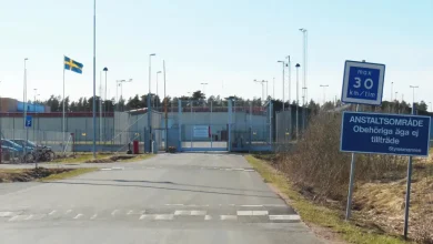 alkompis JIgsIYPovv 1024x576.jpg