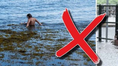 aska farligt platser 1