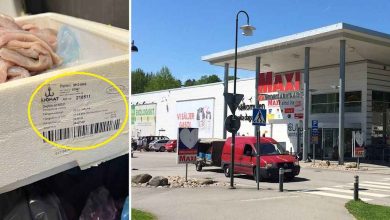 c75507fe 7a2f 41cb 80e6 44a7147c0fea 1