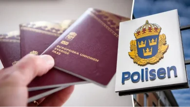 ce782df5 2d9f 543a ac22 7180e2c4bae0 1