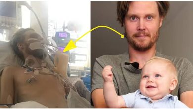 d3db57fa 4ba1 48aa 9ceb b4f08354799c 1