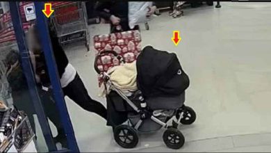 d7f9a529 9e7c 40a4 8a88 af558a71dabb 1