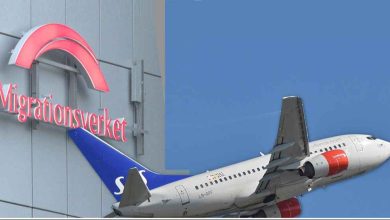 fokus medborgarskap feature 1