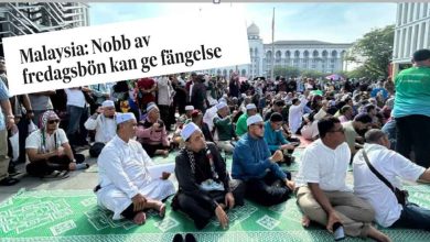 1487335 default 1CZ3aJ Q1qgb2 2 1