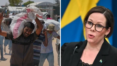 23aab9f6 e80e 4d44 ac04 b494e8976255