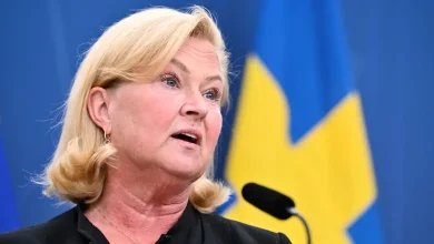 ماريا هيمستروم هيمينغسون، المديرة العامة لمكتب العمل السويدي