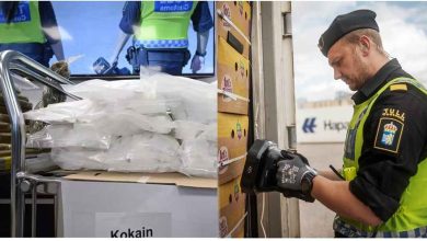 33de245d 1cd1 41d4 86d8 94e5bcf698b8 1