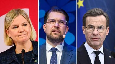 502465817 1312313754232657 7202678786724136571 n 1