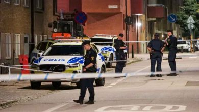 530235053 1226361442862312 3954897355282476849 n 1