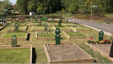 7790d87d a50e 4145 b92f 952acd2323d6 1