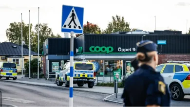 8593cb9e 50c4 42d9 b47d 611d36c74bb2 1