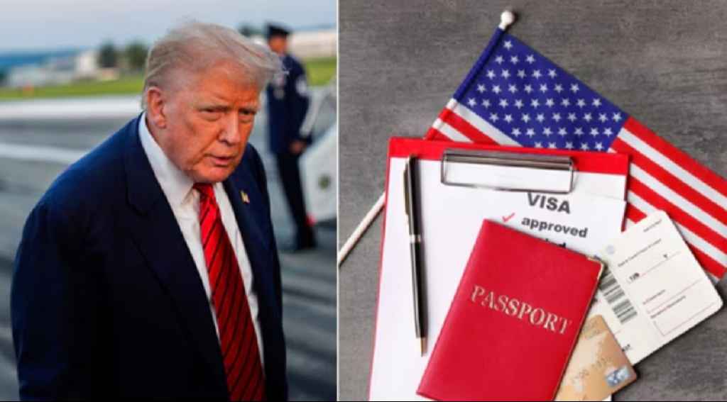 8593cb9e 50c4 42d9 b47d 611d36c74bb2