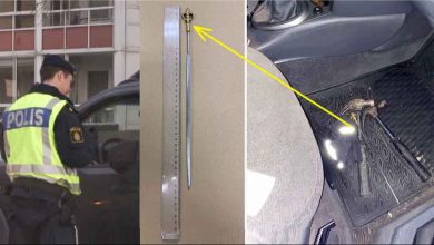 9ef06790 a5c3 49e8 99b4 c4f697a91bf9 1