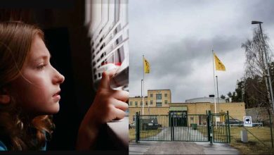 alkompis Qje5NdsYFu 1024x576 1