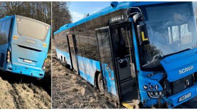 alkompis lzQnQhwIkh 1