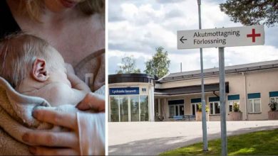 alkompis uyOHjF5Ybq 1024x576 1