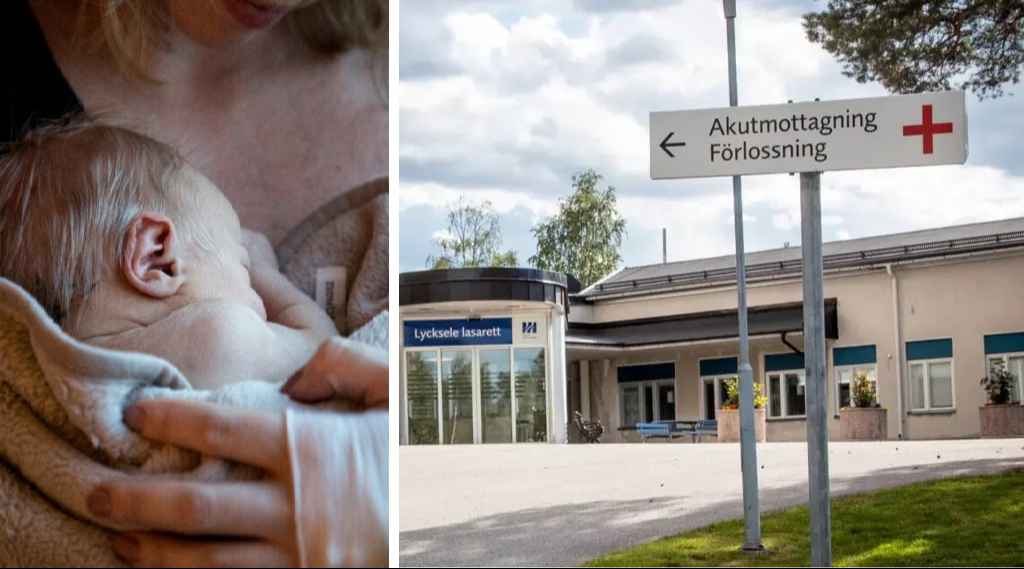 alkompis uyOHjF5Ybq 1024x576 1