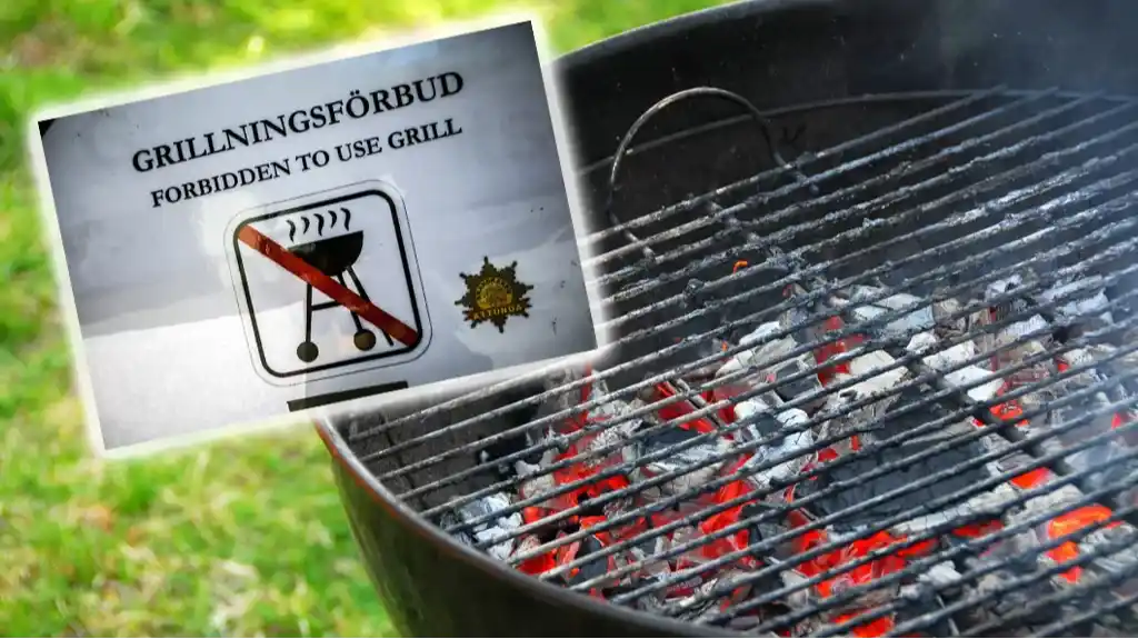 image 3.120839.102344.20221115224252 1 1