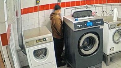 kissar i tvattstugan 730x456 1