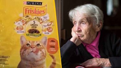 serverades kattmat av hemtjansten feat 1