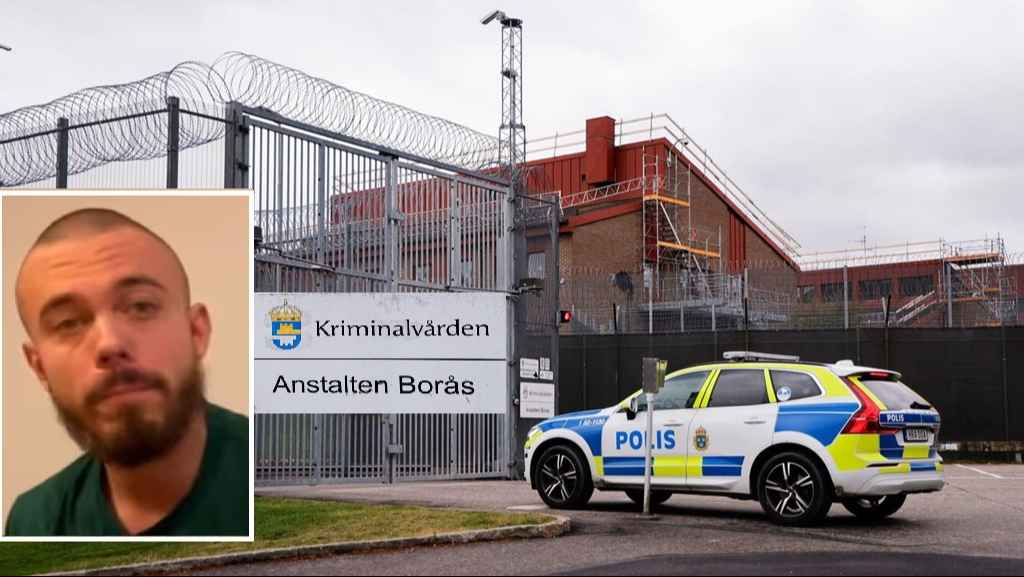 1Bal etiTuyyCcaYS lLy hDaEQ REGULAR 1