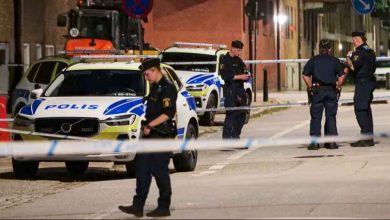 45764 1 articlelarge bn 967260 e6e71717dc20491ebe1cc059dd3c363c 1 1