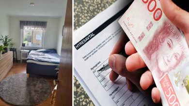 550308833 1225938382341123 726988143606453659 n 1